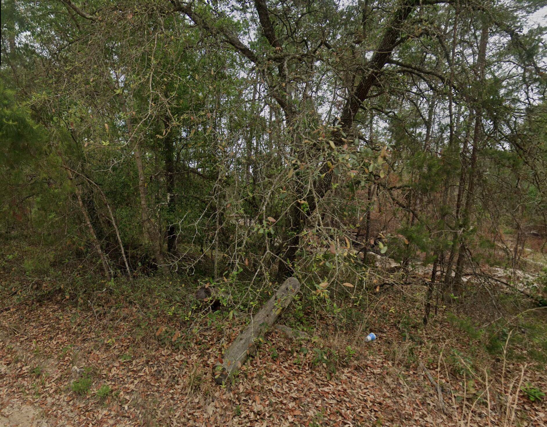 Prime. 23 acre lot in picturesque Putnam County !
