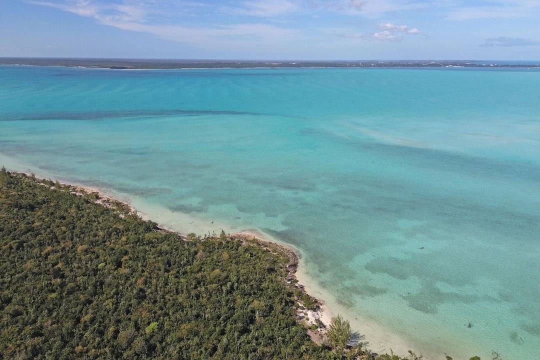 LOT W7 IN JACKS JUNGLE Land Abaco