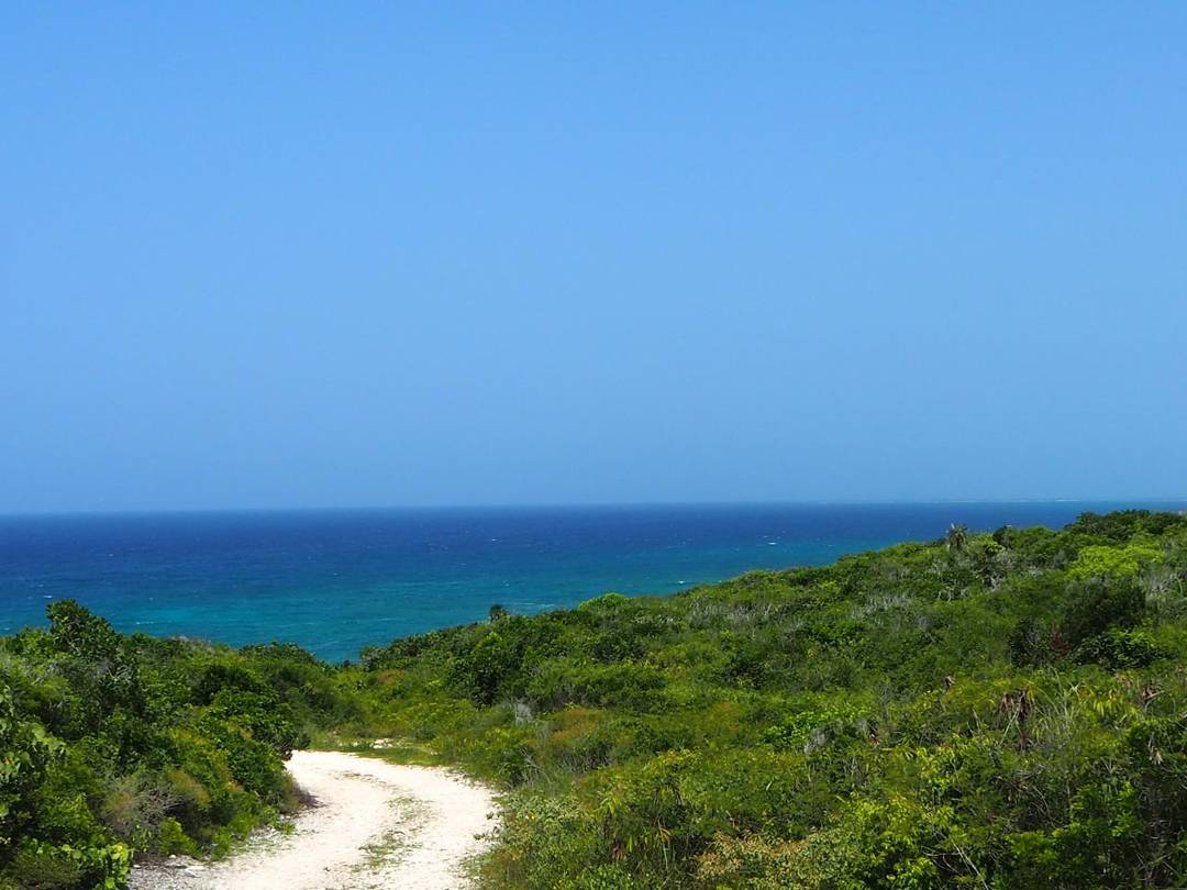 BURROWS ESTATES SCRUBHILL Land Long-Island-Bahamas