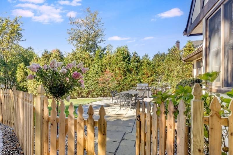 More photos coming Tuesday !