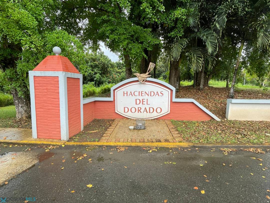 DELONIX Land Toa-Alta