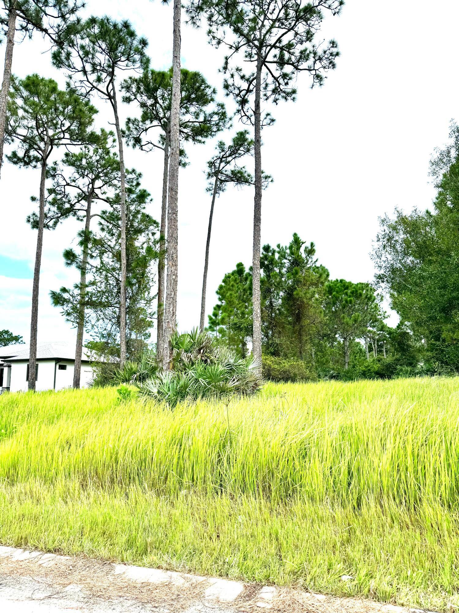 Prime vacant lot in the heart of Ft.