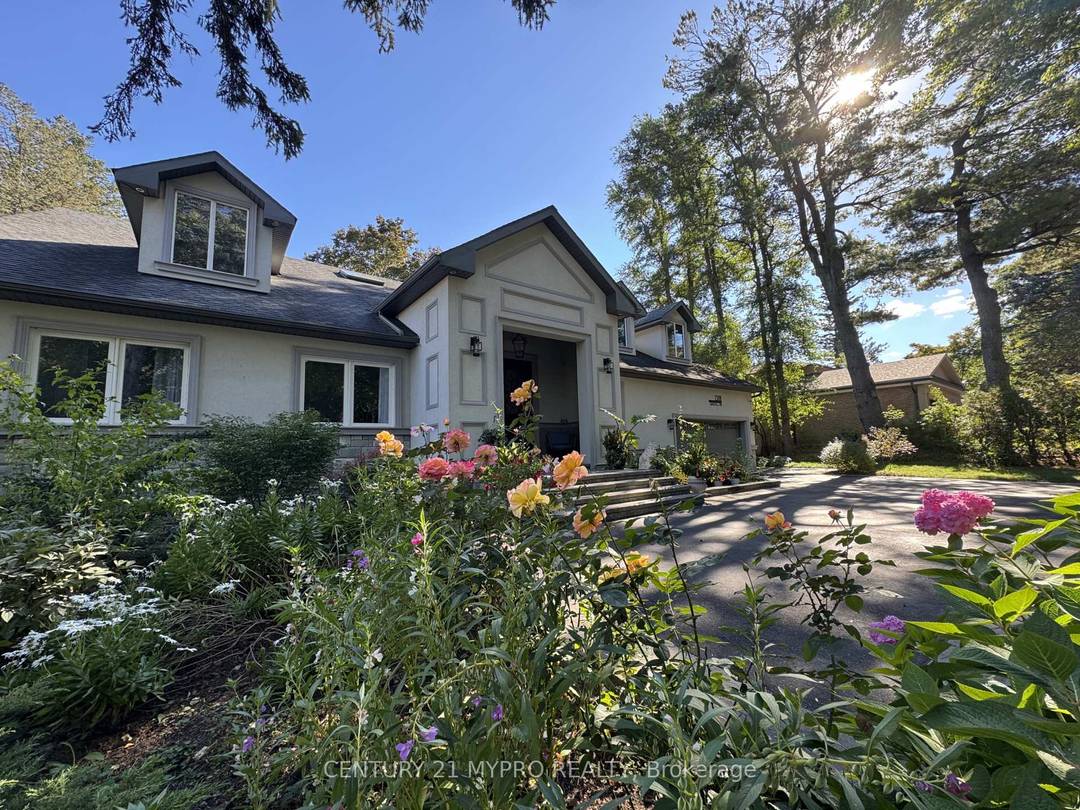 HOME Golden EASTLAKE Where Heritage Trees amp ; Modern Elegance Root Your StoryAs autumn leaves dance like flakes of gold in the breeze, a 150 year old tree stands as ...