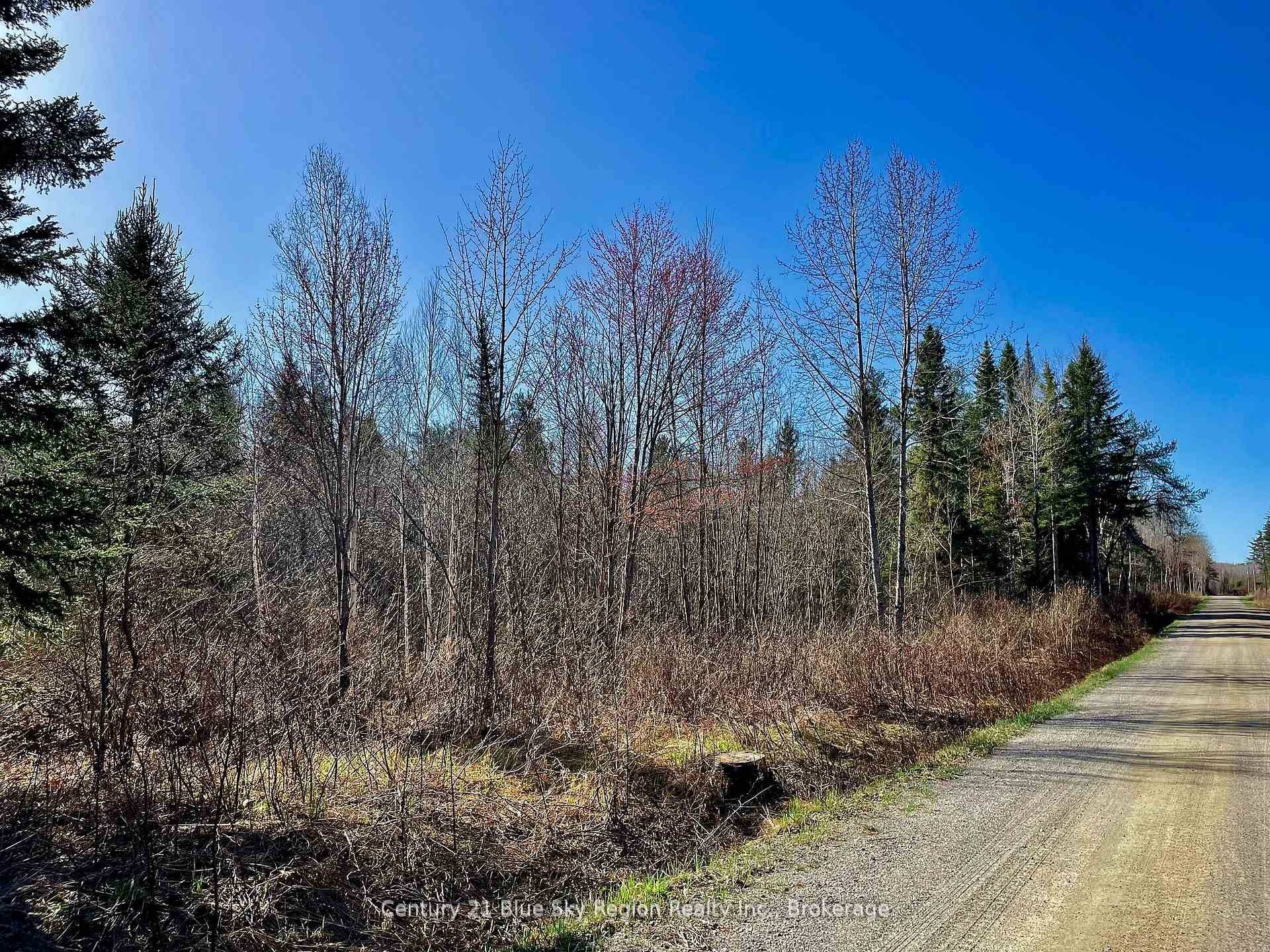 Discover peace and privacy on the beautifully treed parcel of vacant land.