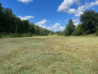 An incredible opportunity awaits on this picturesque 46 acre property, offering a beautiful mix of open fields, mature trees, and towering pines.