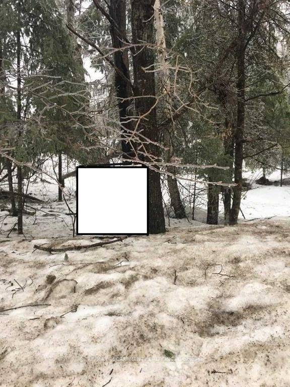 UNIQUE APPROX 2 ACRRE PARCEL amp ; BEAUTIFUL TREED LAND RESIDENTIAL WITH LAKE VIEW AND LAKE ACCESS TO SOUTH BAPTISTE LAKE.