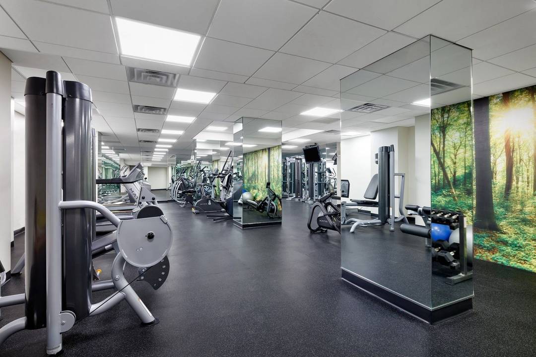 Spacious studio with windowed sleeping alcove.