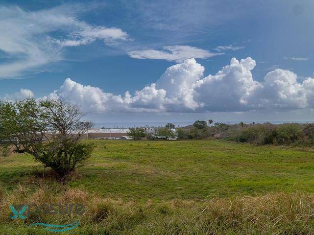 FINCA LLANA CON POTENCIAL COMERCIAL - 7.60 CUERDAS EN HATILLO, DETRÁS DE WALMART Land Hatillo