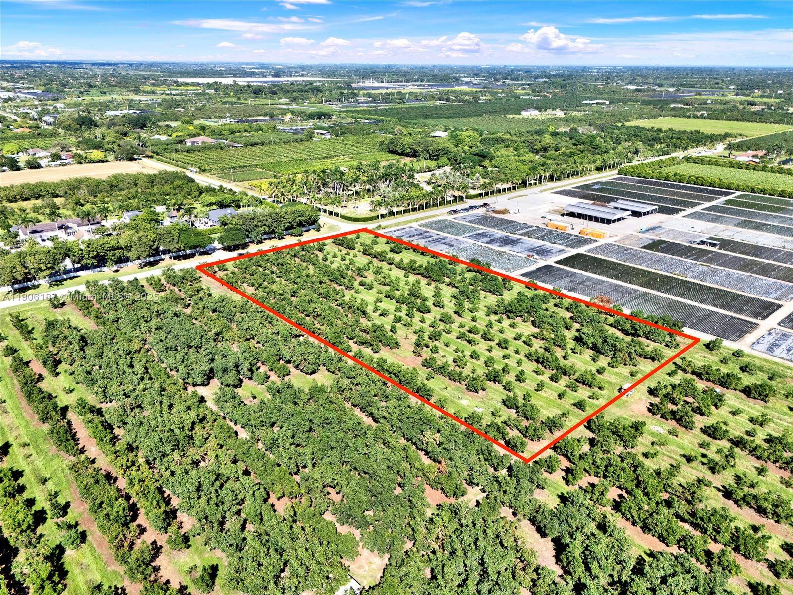 Amazing opportunity to purchase a 5 acres avocado grove.