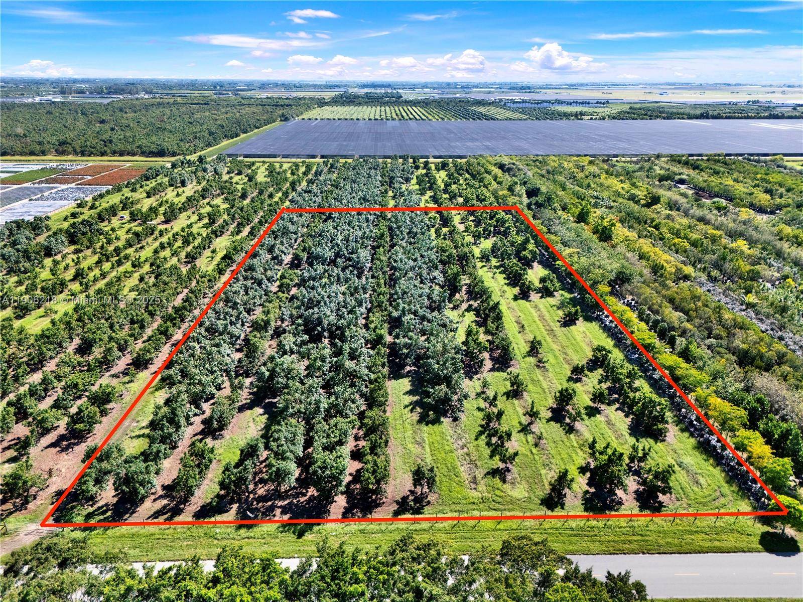 Amazing opportunity to purchase a 5 acres avocado grove.