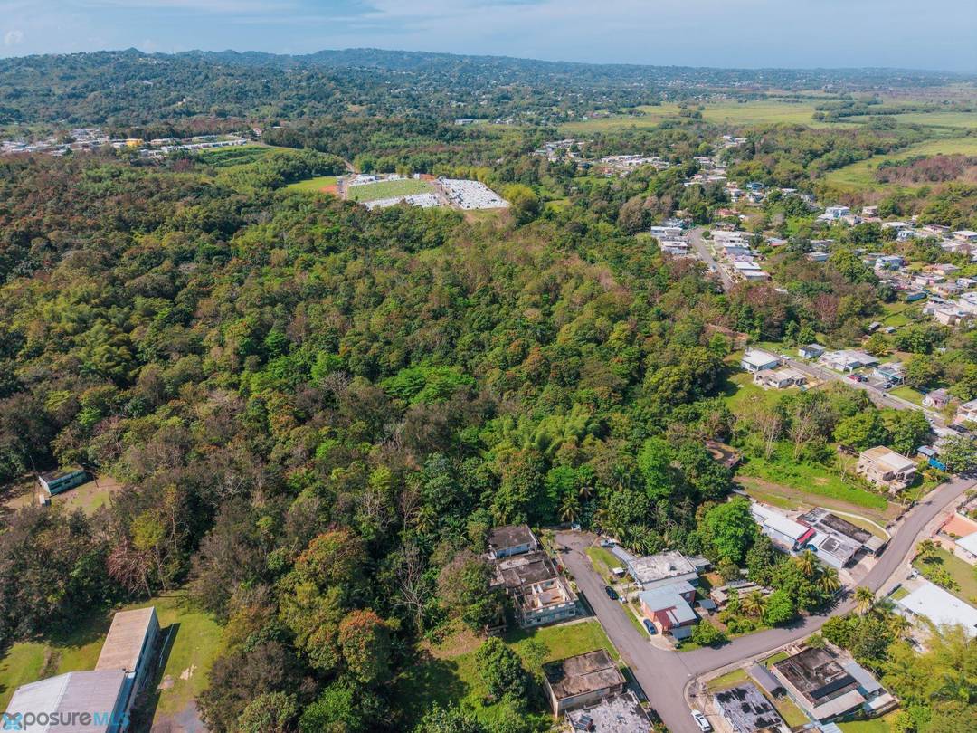 CALLE PROFESOR DANIEL NIEVES Land Moca