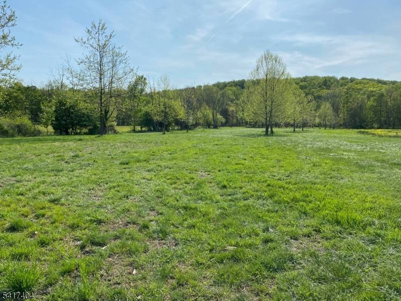 One of the few large acreage parcels left in Montgomery Township with outstanding views.