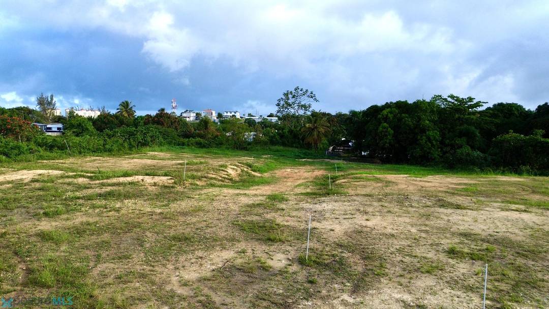 CAMASEYES Land Aguadilla
