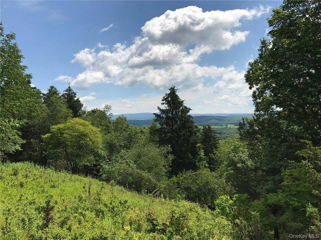 This stunning 24 acre property in Columbia County offers a captivating blend of pastoral and woodland landscapes.