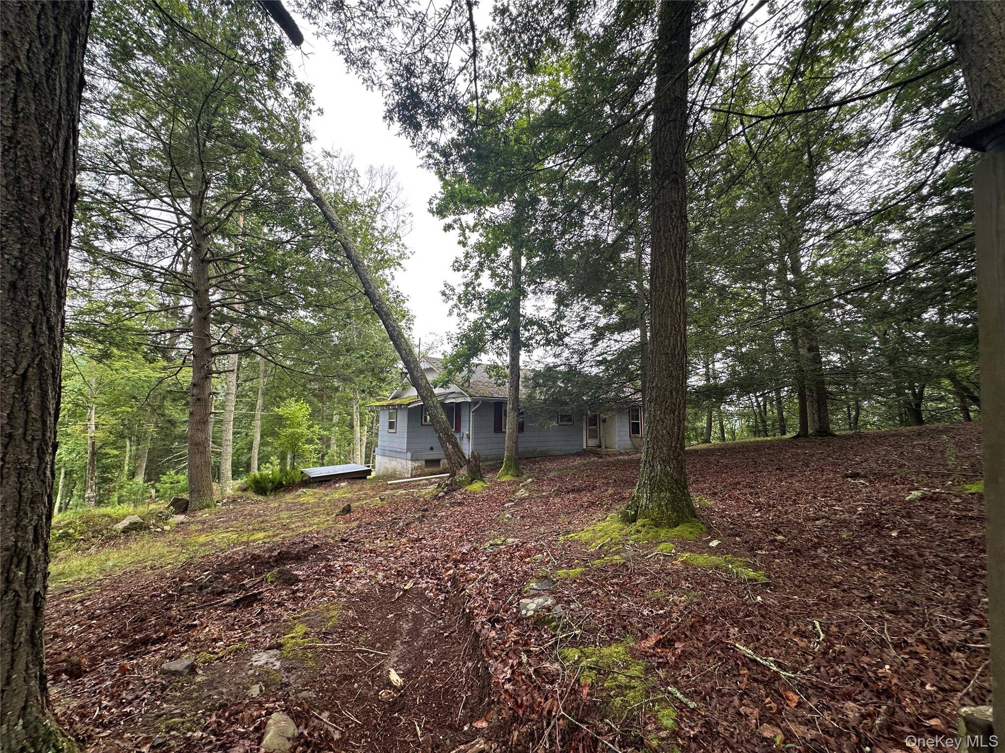 16. 5 acres partially flat and cleared, partially hilly land on the Delaware river with septic and well, with a fixer upper house on it.