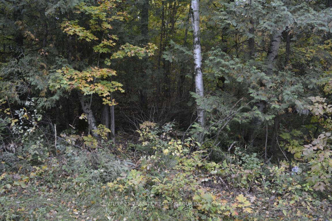 Great opportunity to have your own private get away build your new home on this 7.