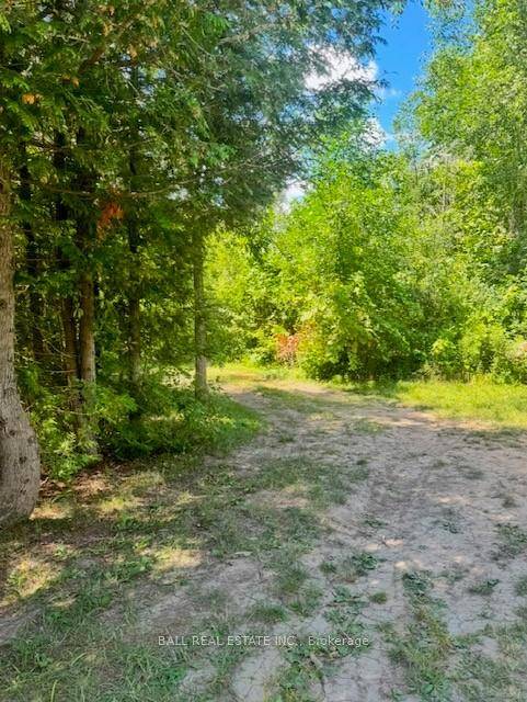 Waterfront Vacant Lot Pigeon river waterfront.