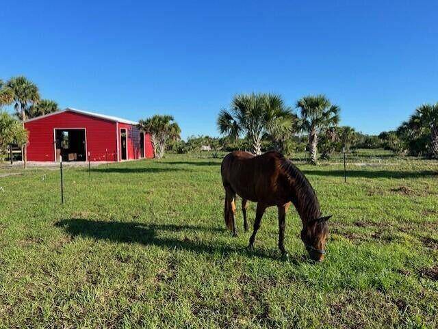 HAPPY HORSES WELCOME ! 21 Acre Picturesque Equine Paradise Fall in LOVE as you enter, offering privacy and serenity.