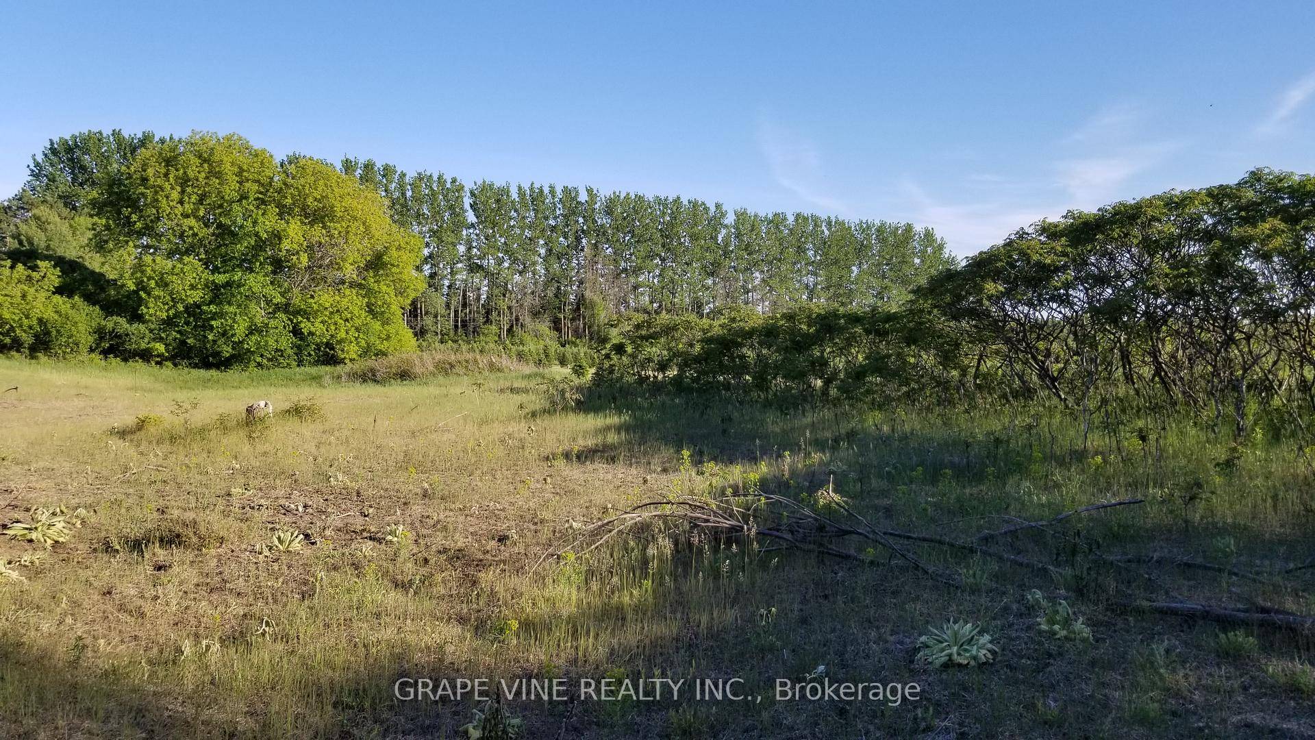 This high and dry lot with no adjacent wetlands is a spacious 2.