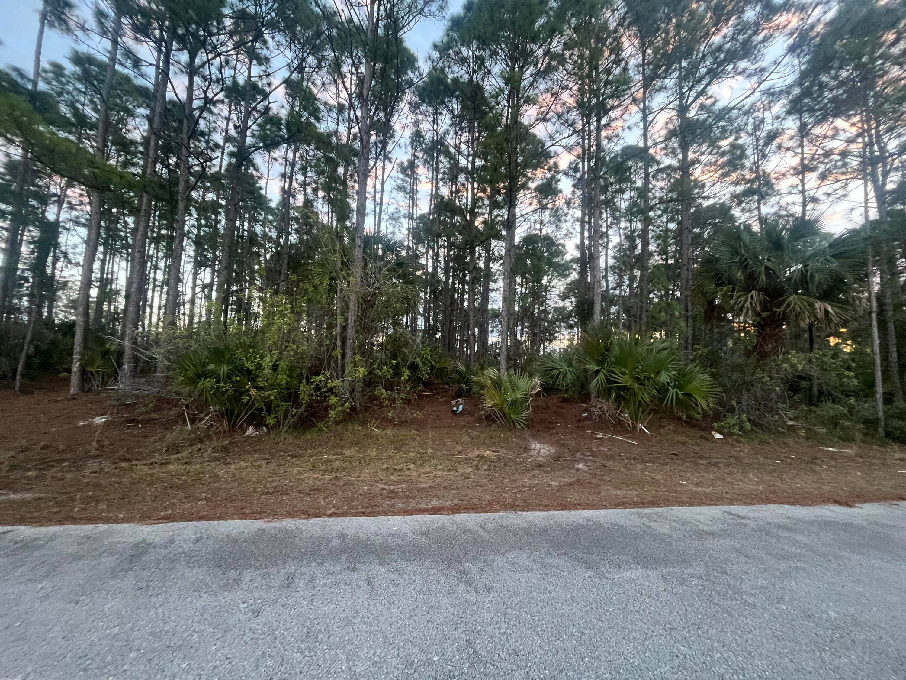 Build your dream home on this beautiful, high and dry lot in desirable Port Malabar with no HOA fees.