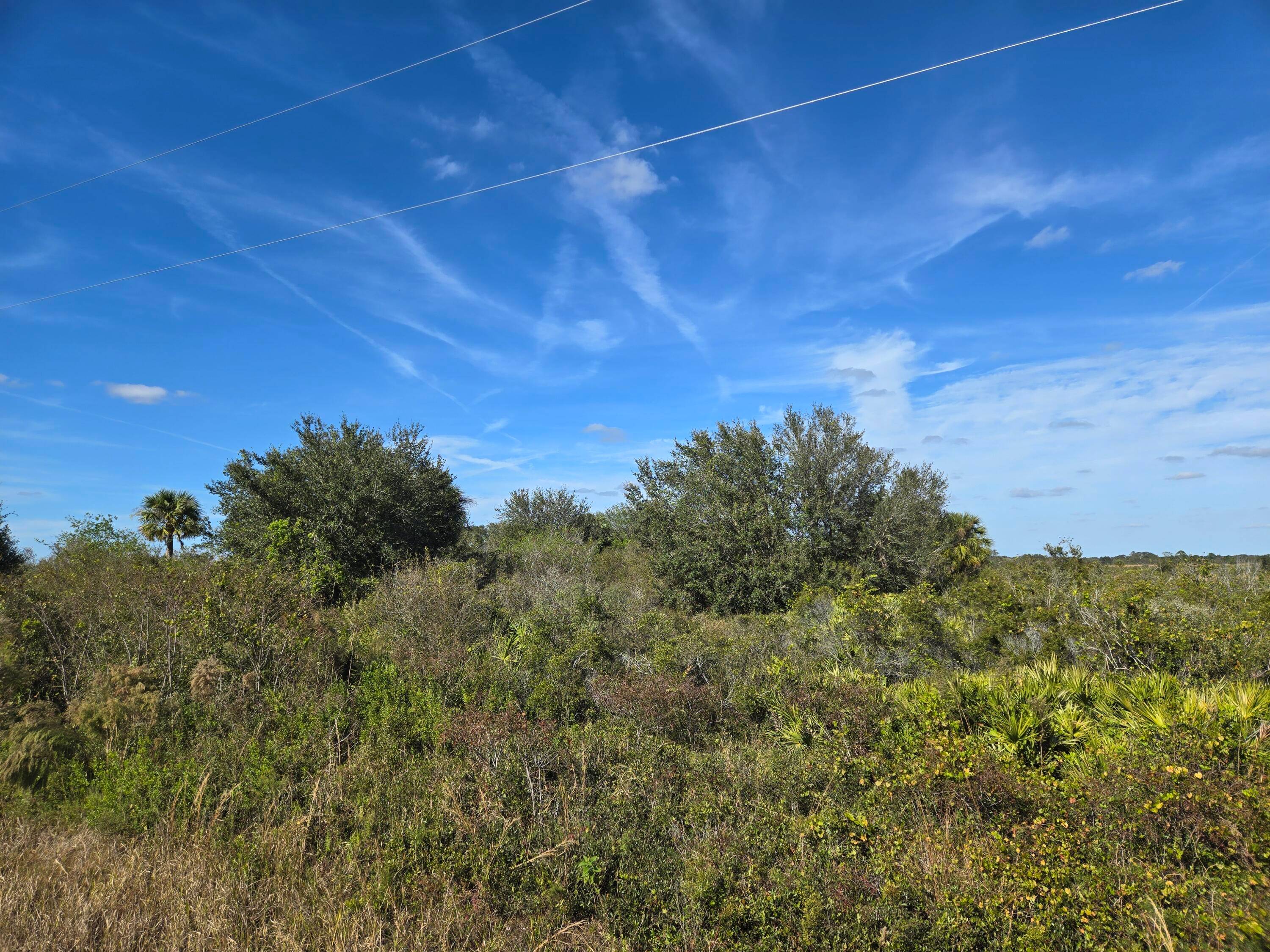 1. 25 of vacant land in rural Okeechobee county.