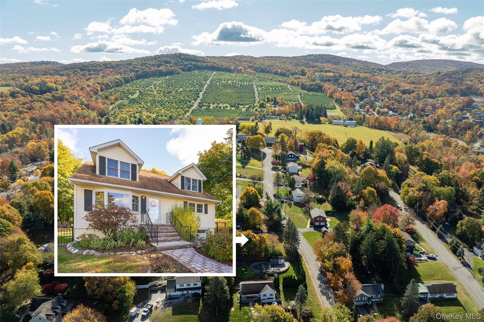 Located in the Village of Warwick, this cheerful 4BR 2BA Cape style home pairs everyday convenience with a private, fenced backyard retreat on public water amp ; sewer and a ...