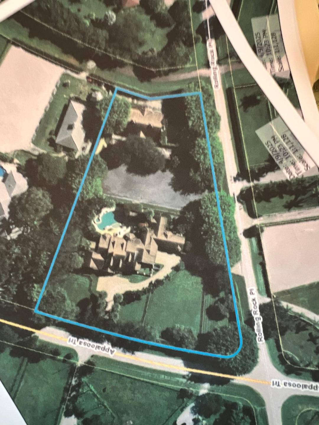 Better pictures coming ! !