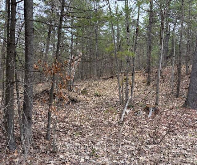 2. 8 acre building lot. Hydro at neighbouring dwelling.