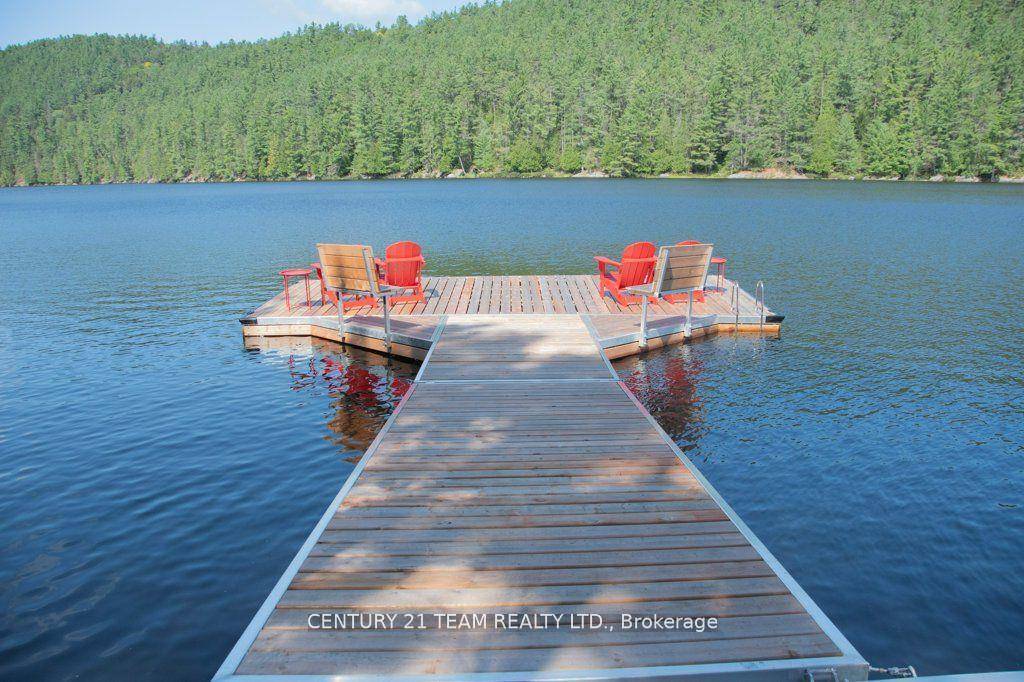 Welcome to 661 Old Hwy 17 Your unique opportunity awaits, with this 72ac.