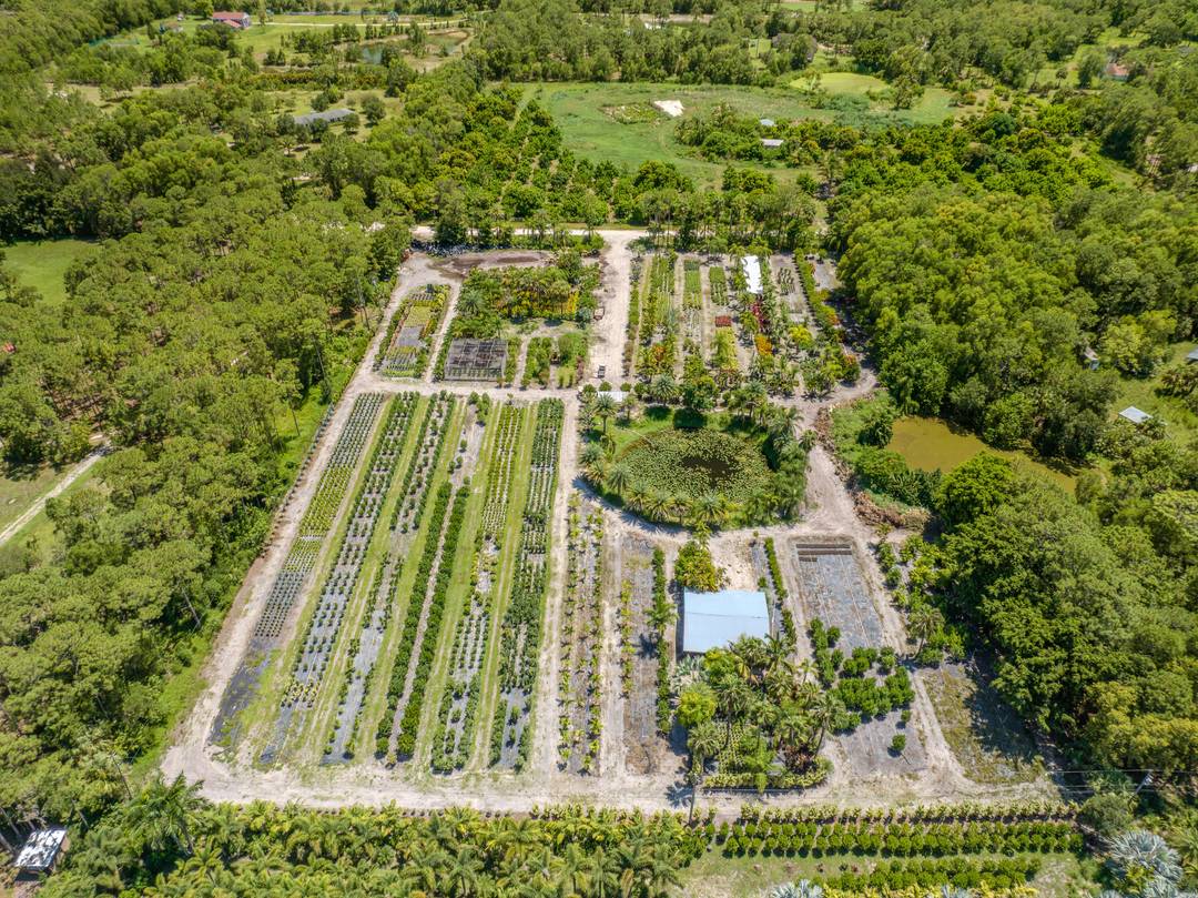 5. 28 Acre Cleared Parcel Of Land That Is Currently Being Run As A Nursery.