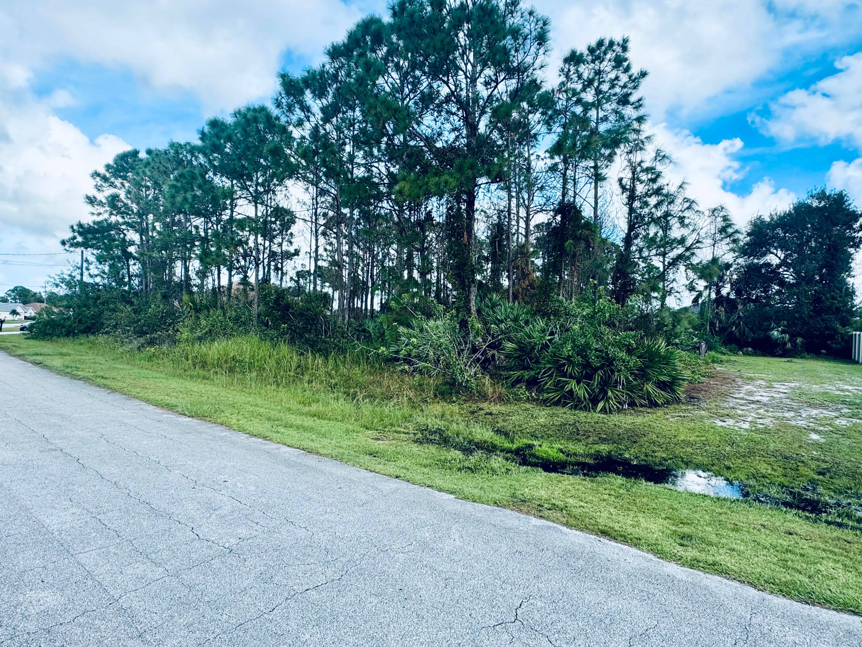 Prime land available for development.
