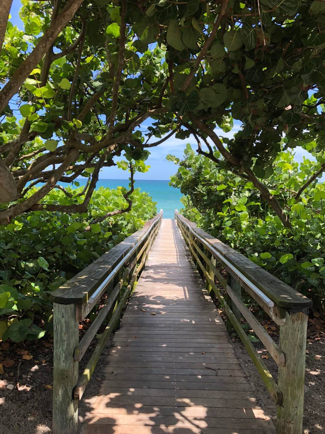 1605 S Us Highway 1 Condo Palm Beach