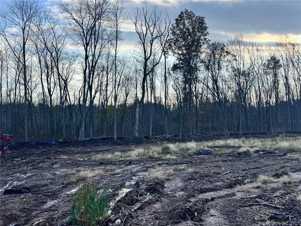 Welcome to an incredible opportunity in the heart of Newington !