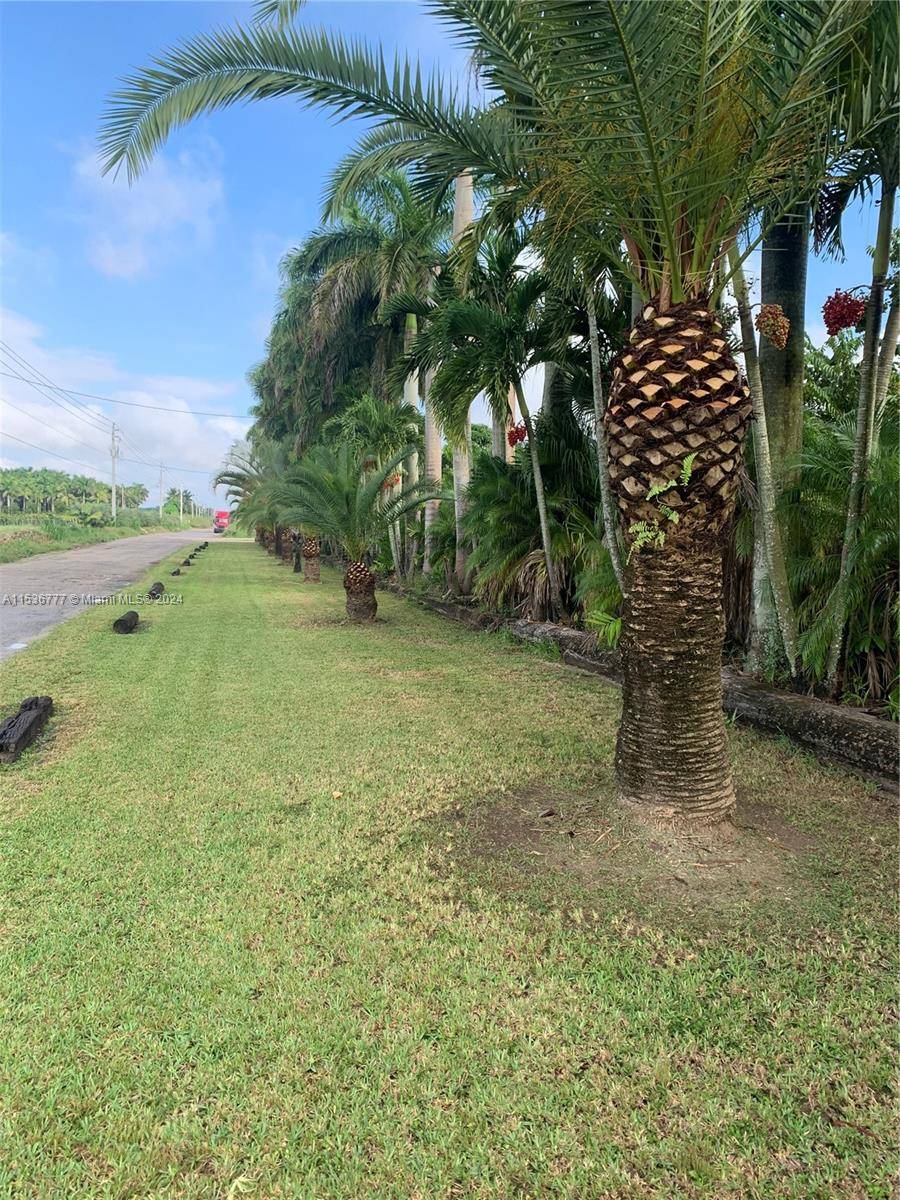 Vacant land for sale, well water, electricity, irrigation with a diesel motor, Warehouse 20 x 50', trailer 53' x 9' with terrace 53' x 14'.