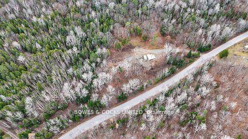 Discover tranquility on this beautifully treed 4.