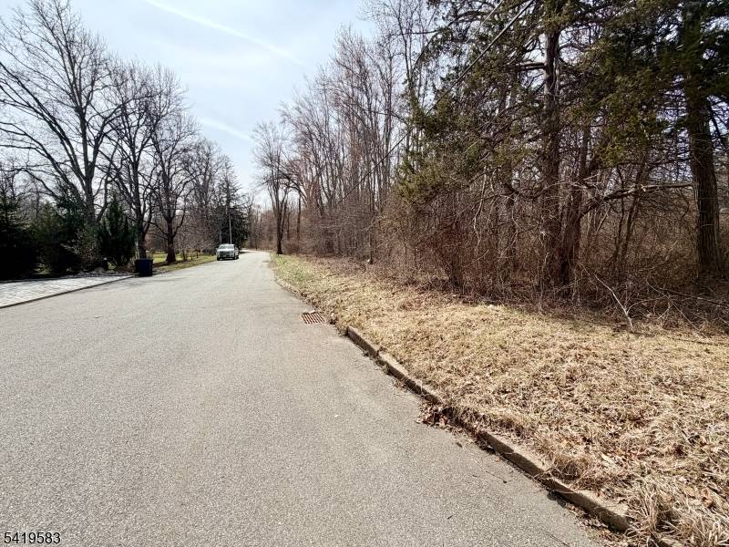 Build your dream home ! Cul de sac location in midst of multi mill homes.