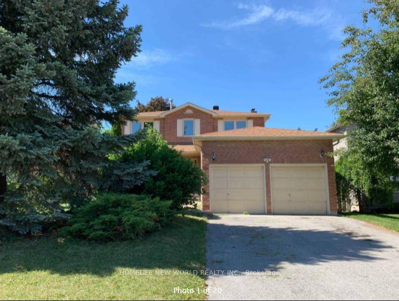LEGAL Spacious and beautifully maintained Walk Out Basement located in the family friendly neighbourhood of Bristol London.