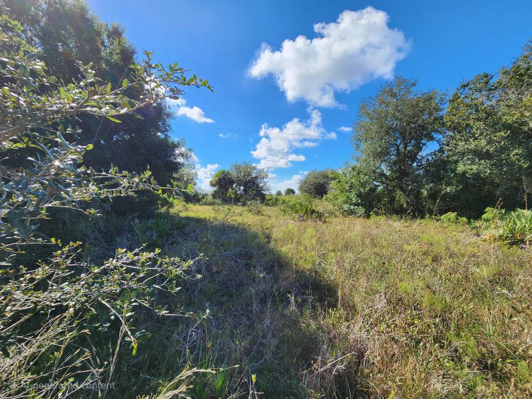 Vacant Land in the Desirable Vikings Prairie Area Discover the perfect opportunity to own a piece of rural Florida paradise in the highly sought after Vikings Prairie community.