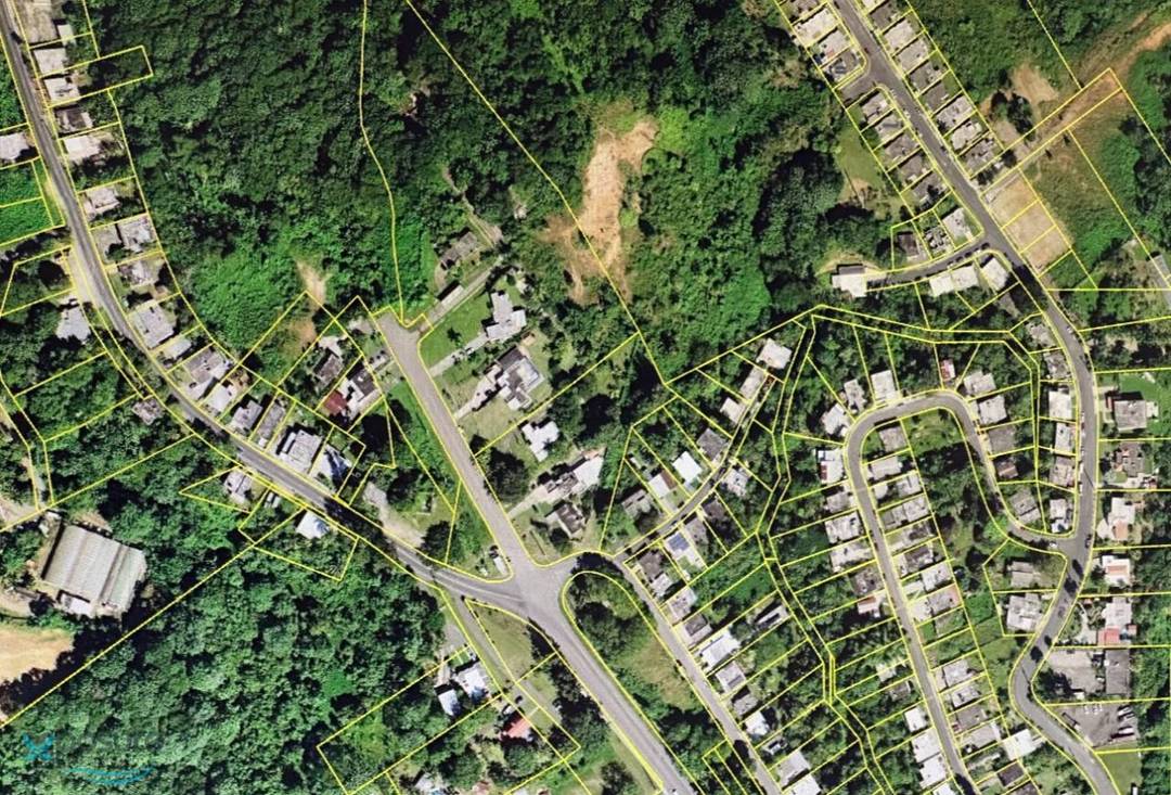 CARRETERA PR 111 LARES Land Lares