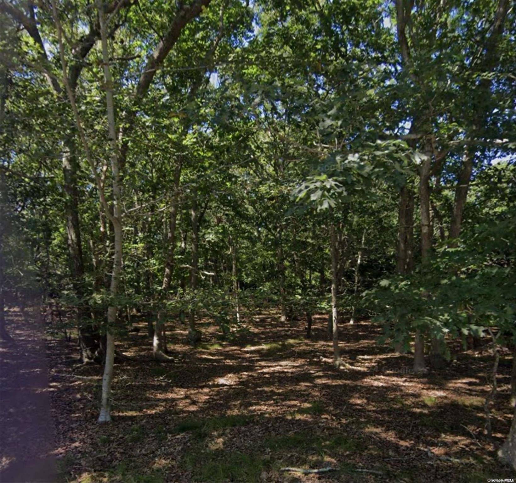 East Hamton Buildable Lot Build your dream on this tranquil street.