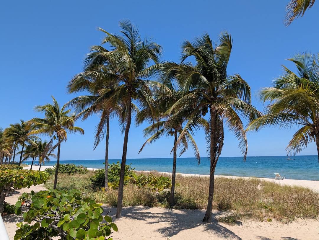 Beautifully updated oceanfront condo with direct ocean views and a spacious 1, 600 sq ft layout.