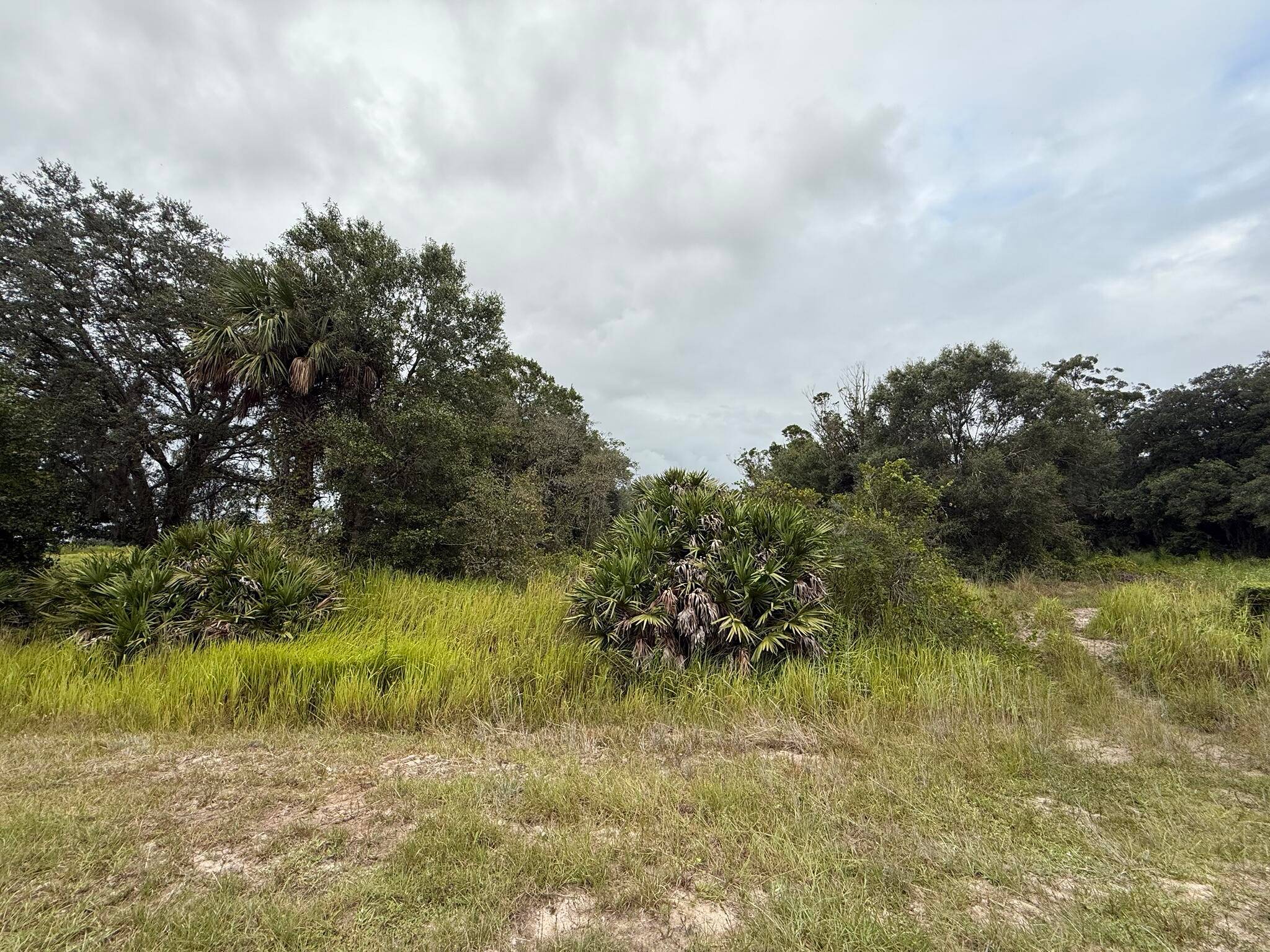 This high and dry 1. 25 acre lot sits next to a canal at the end of a quiet dead end road, offering exceptional privacy and a peaceful rural setting ...