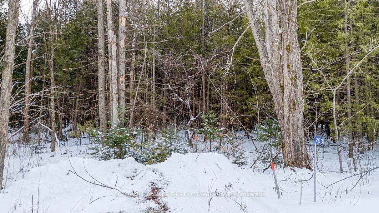 This private, 1. 9 acre lot within a picturesque forest landscape offers an ideal setting for your quiet country retreat.