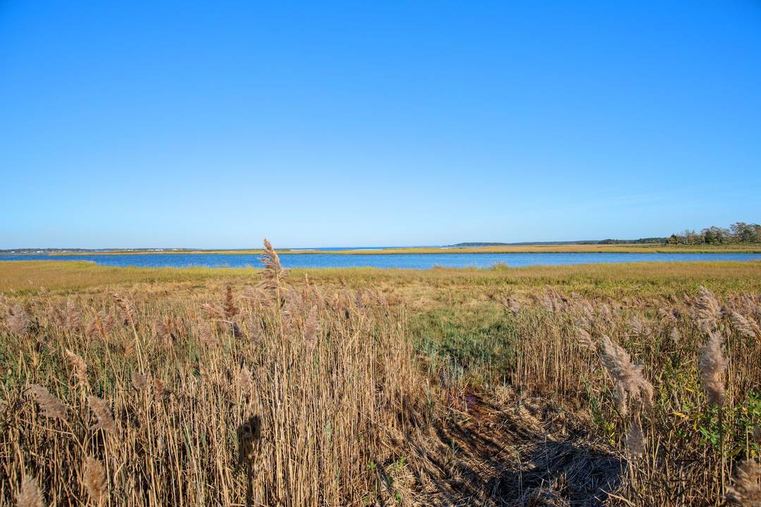 Peaceful and Relaxing