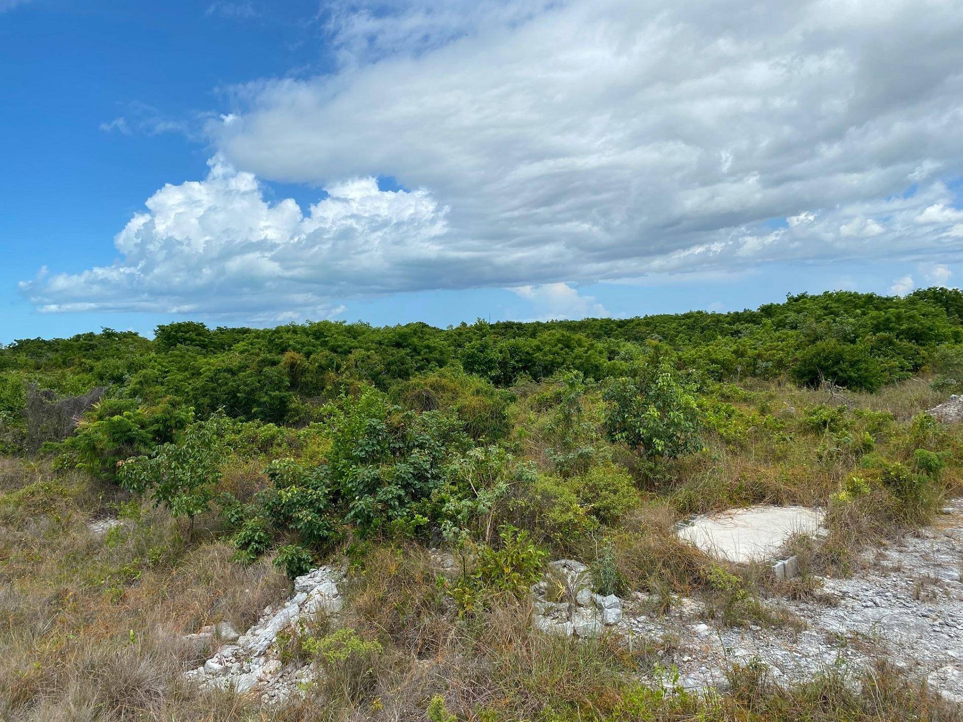 GRAND BAHAMA EAST SEC. 2 Land Grand-Bahama-Freeport