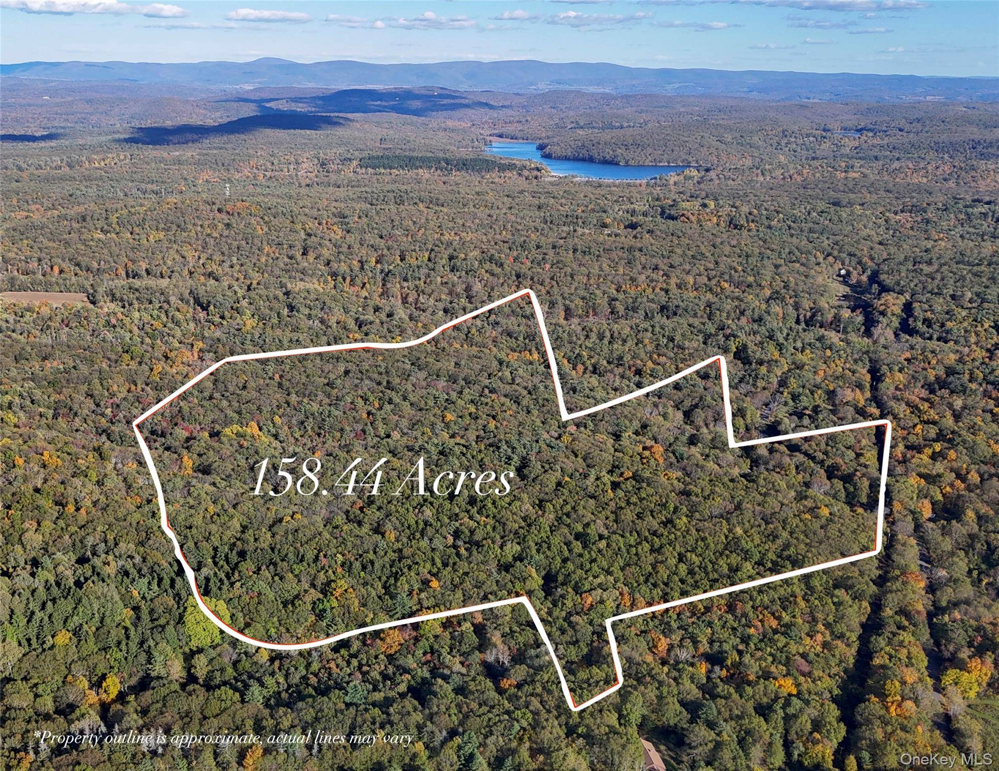 Seize a rare opportunity to own 158 acres of pristine, subdividable land in the heart of the Taconic Range, perfectly positioned between the coveted destinations of Rhinebeck and Hudson.