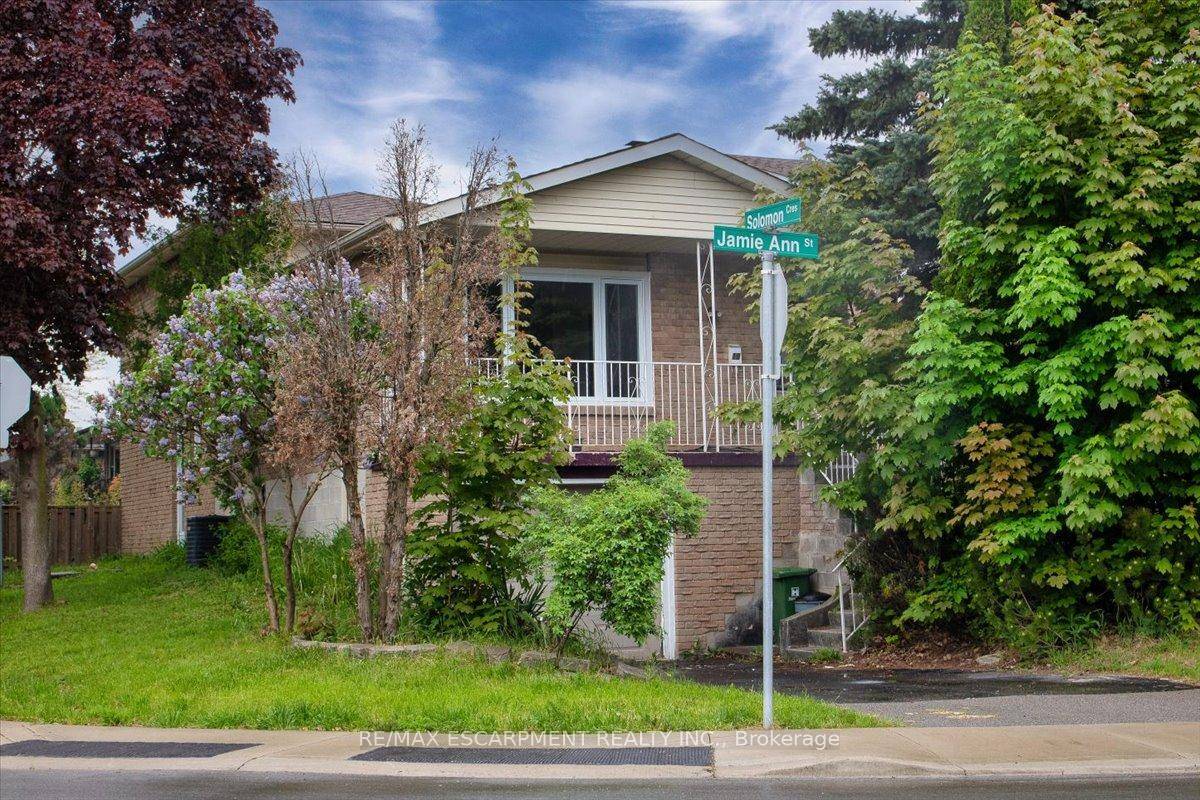 Welcome to a fully renovated beautiful apartment rental which features an open concept living room and kitchen, perfect for modern living.