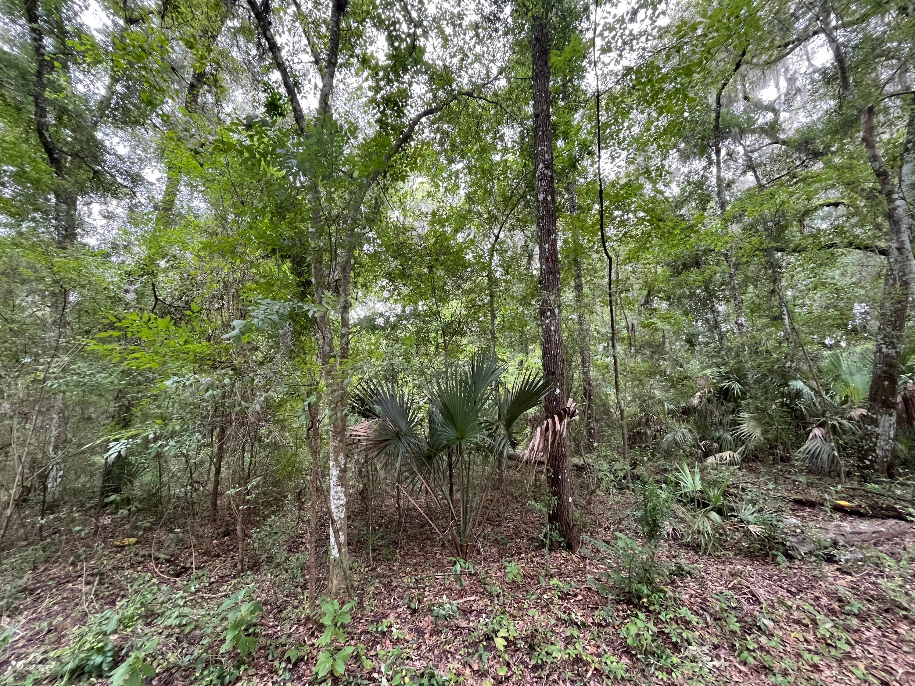 Build your dream home on this oversized 0.