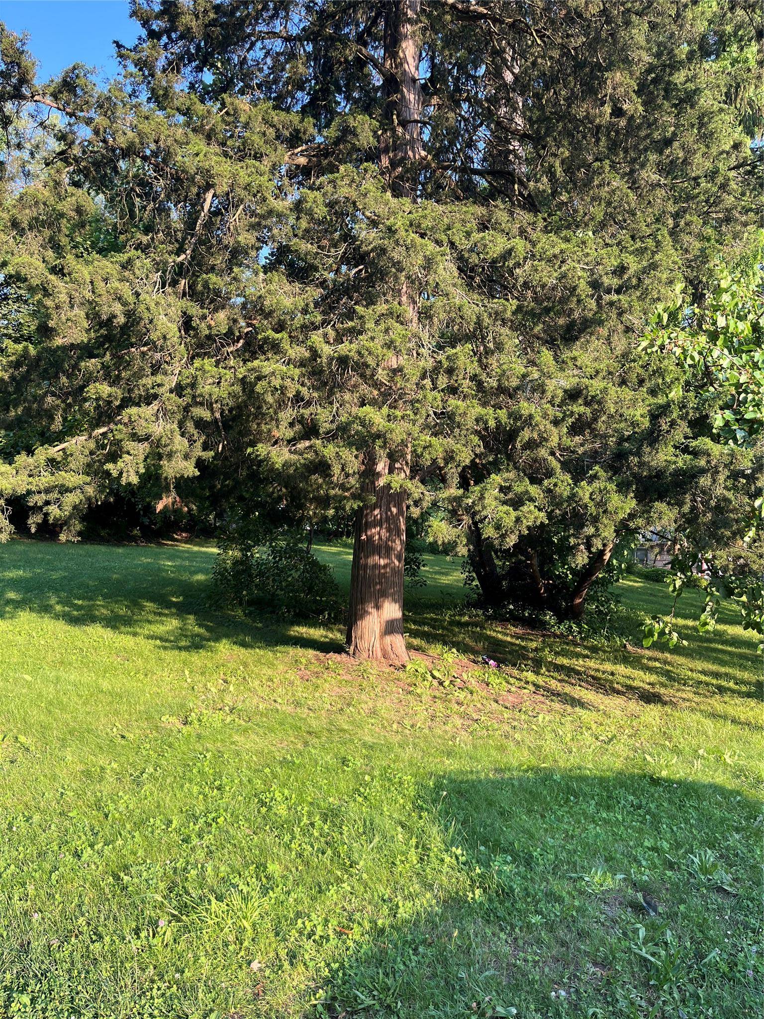 Ideal corner lot for development.
