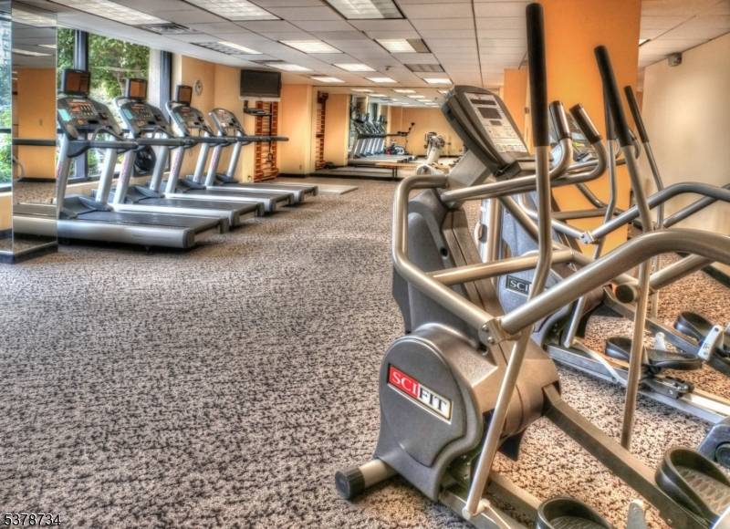 Completely renovated spacious 1 bedroom, 1.